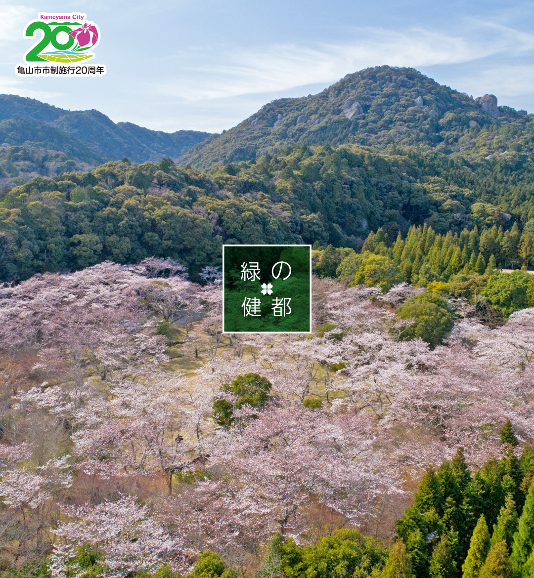 春の正法寺山荘跡