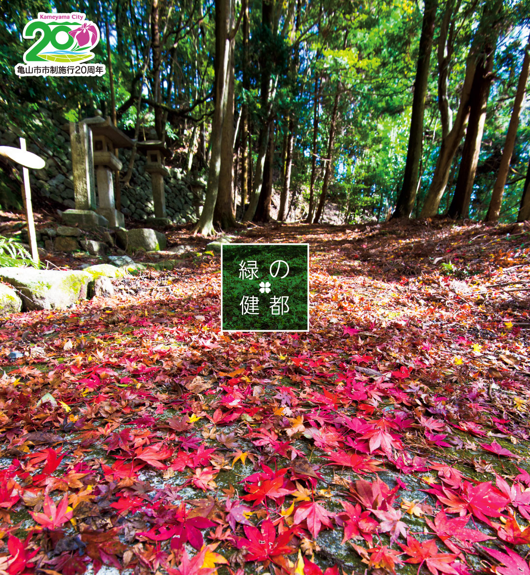 秋の片山神社