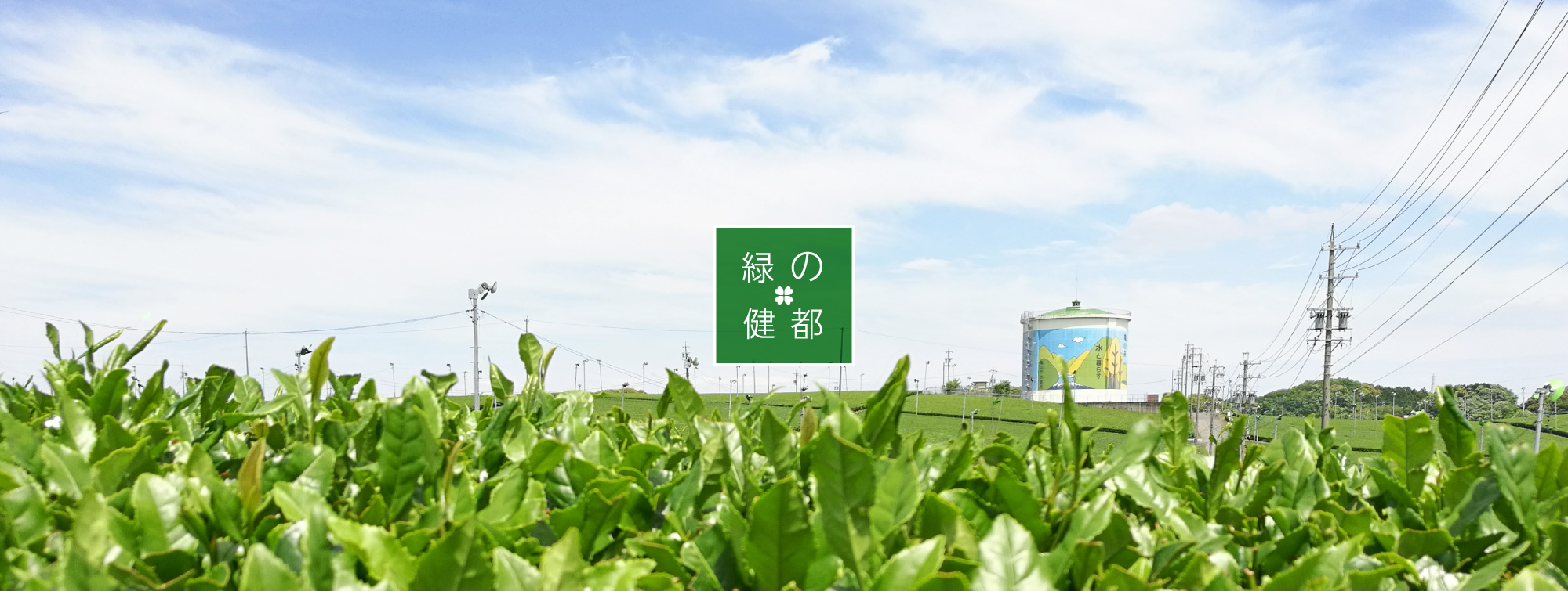 中の山パイロットファーム