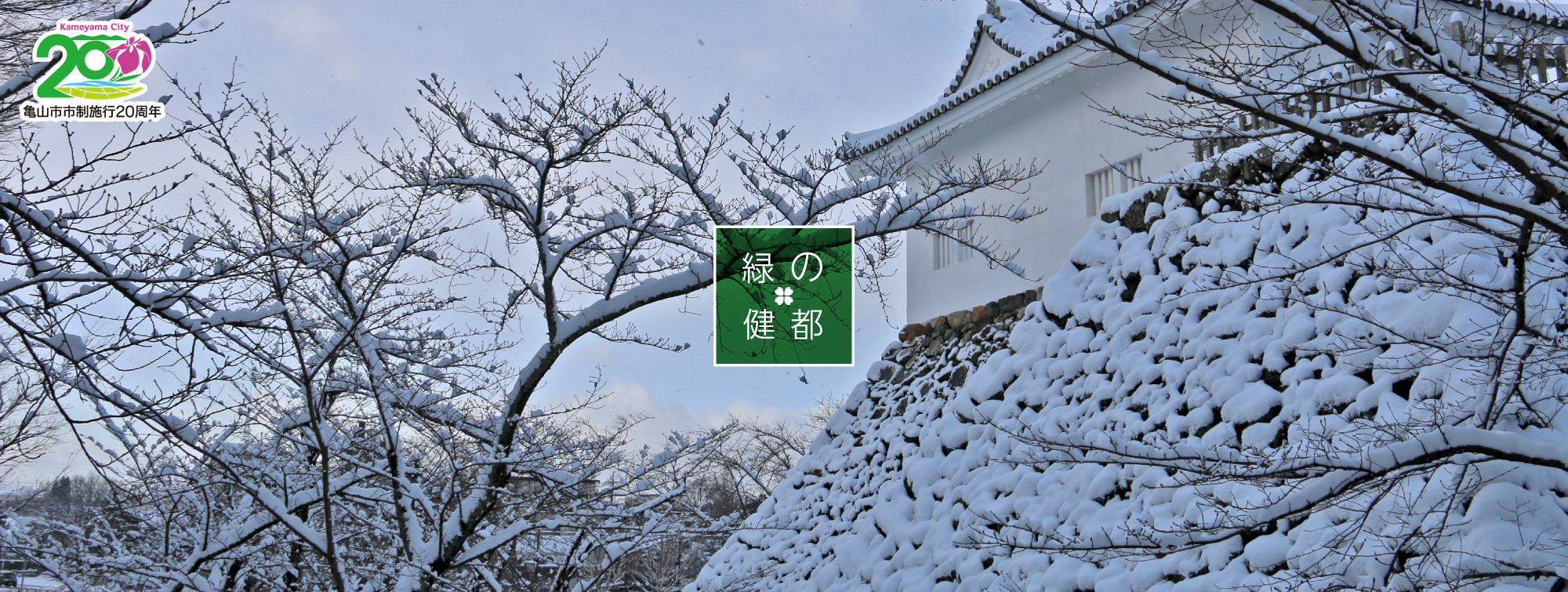 雪化粧の亀山城