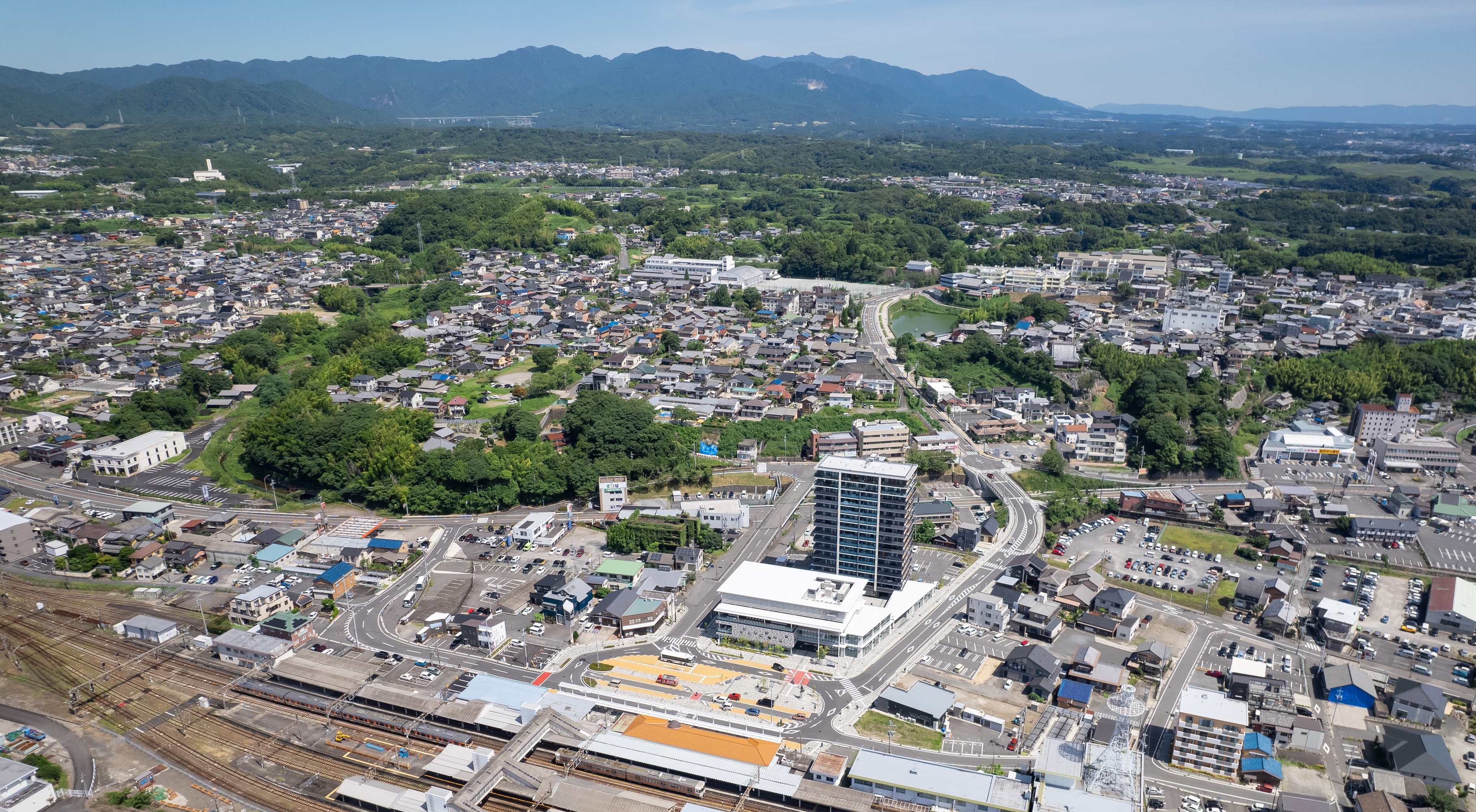 亀山城跡大イチョウ