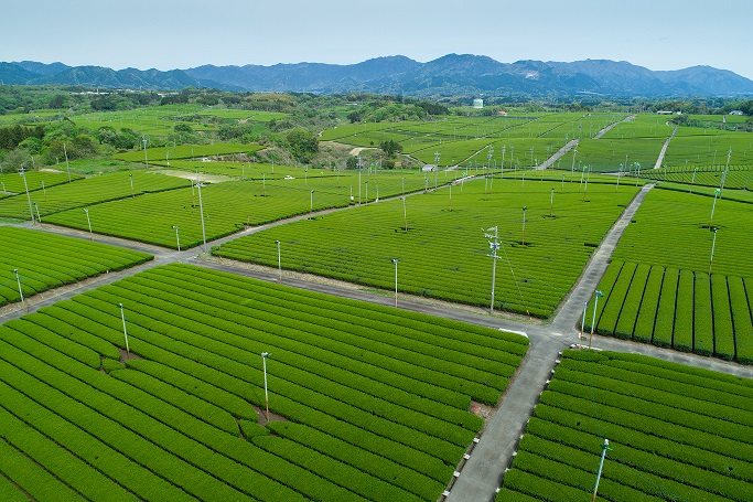 中の山パイロット 関宿