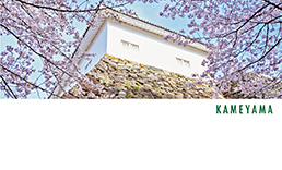 yagura_sakura_s