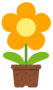 黄鉢植え
