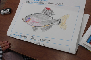魚塗り絵