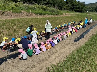苗差し２