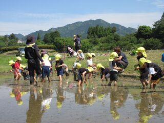 田植え６