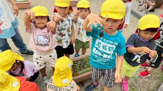 自然12 自然12