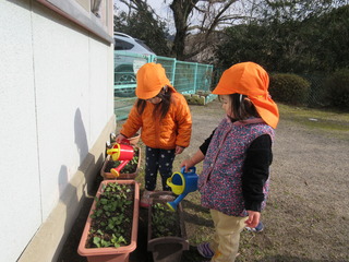 大きくなってね！