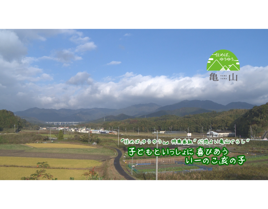 いーのこ、亥の子
