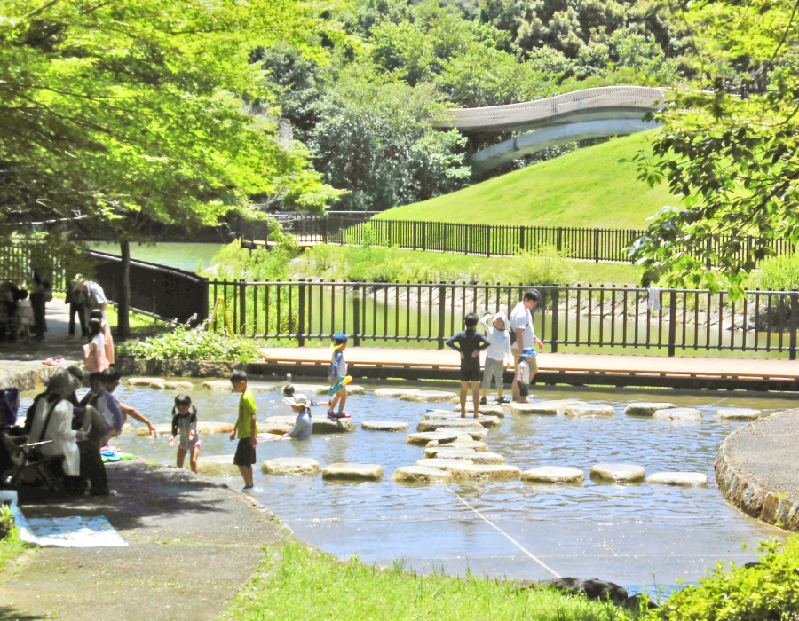 水の遊び場 水の遊び場